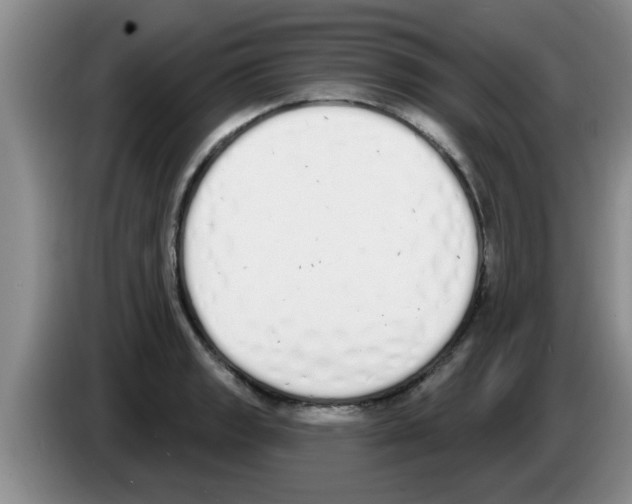 X0000083591133200703091714