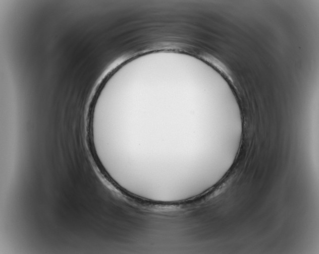 X0000083591135200703091714