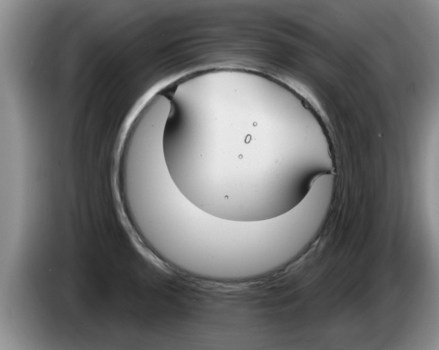 X0000083591136200703091714