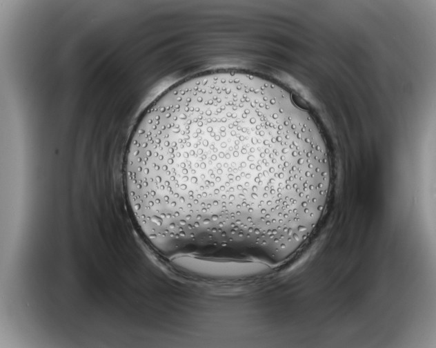 X0000083591137200703091714