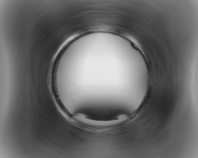 X0000083591139200703091714