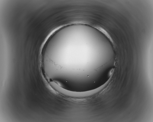 X0000083591140200703091714