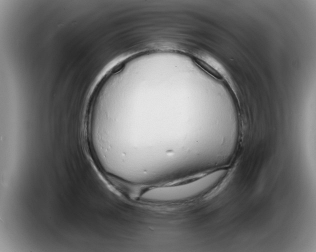 X0000083591141200703091714