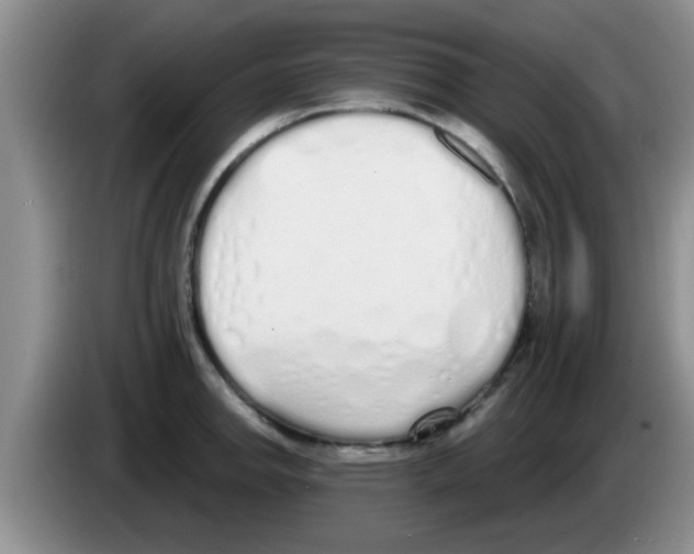 X0000083591142200703091714