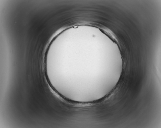 X0000083591143200703091714