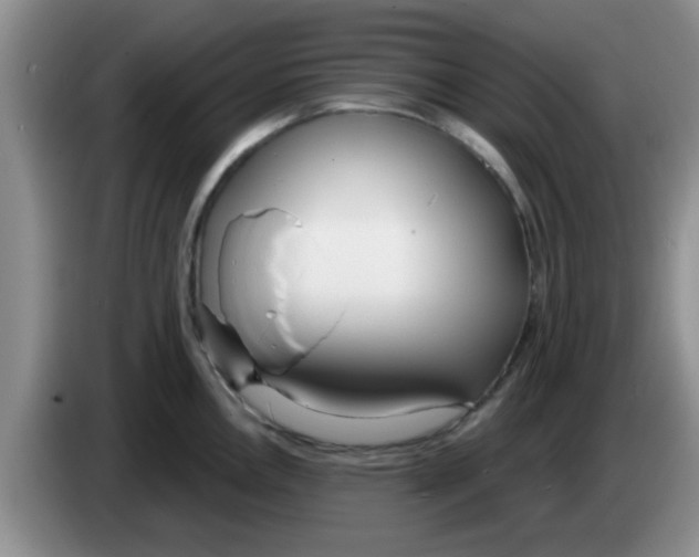 X0000083591146200703091714