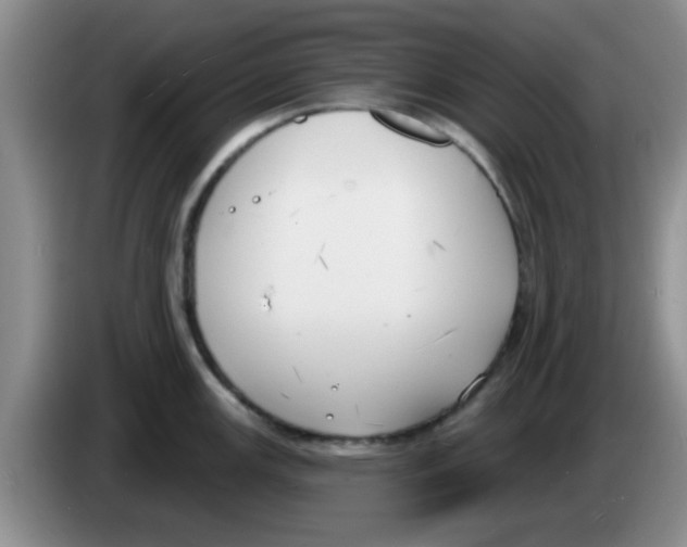 X0000083591147200703091714