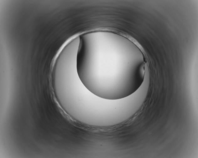 X0000083591148200703091714