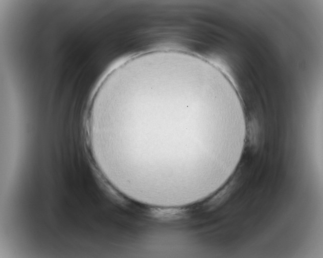 X0000083591150200703091714