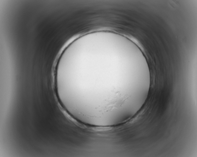 X0000083591151200703091714