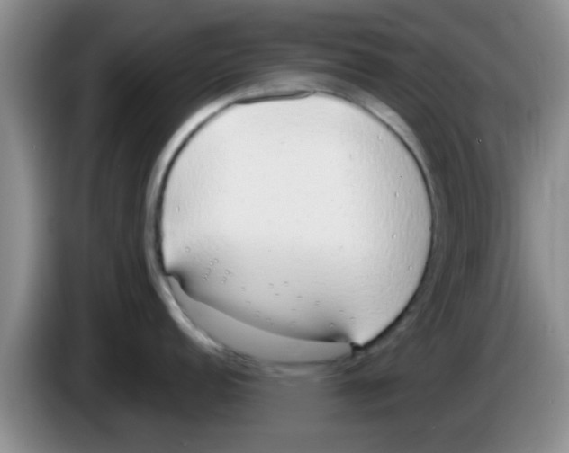 X0000083591152200703091714