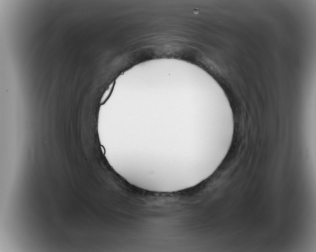 X0000083591153200703091713