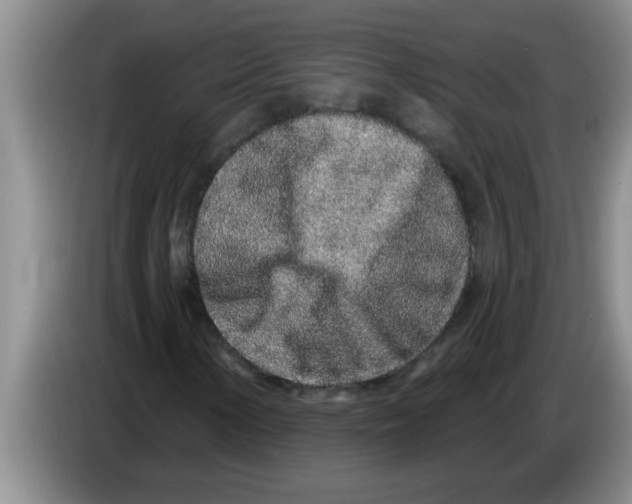 X0000083591154200703091713