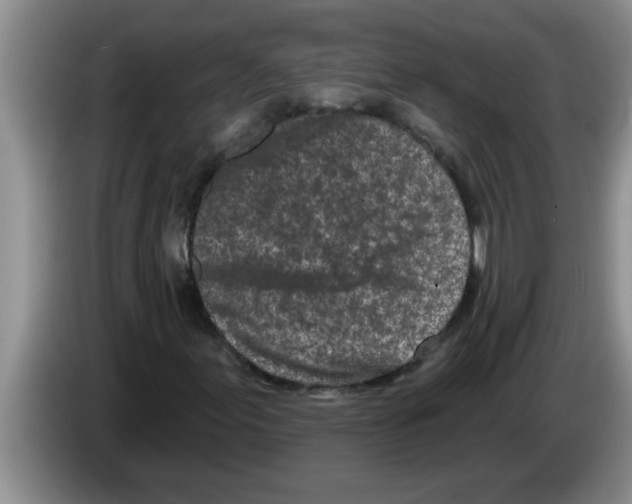 X0000083591155200703091713