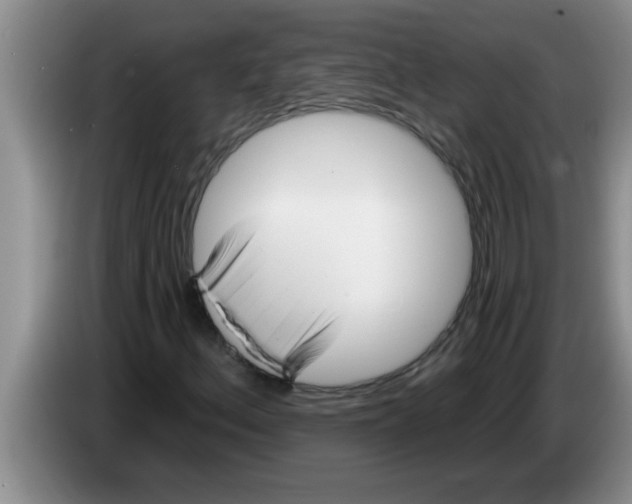 X0000083591156200703091713