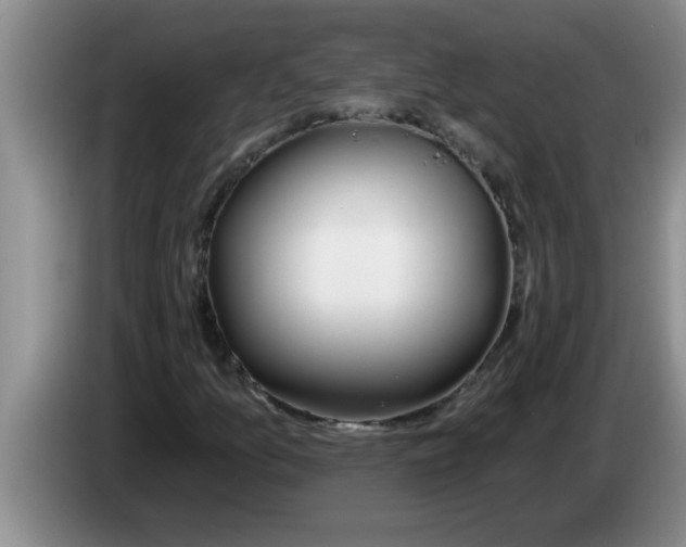 X0000083591157200703091713