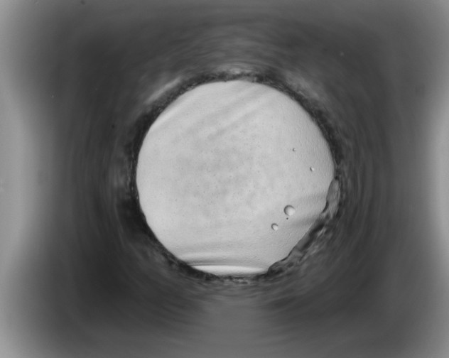 X0000083591158200703091713