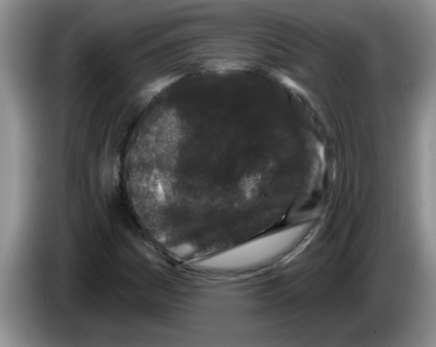 X0000083591161200703091713