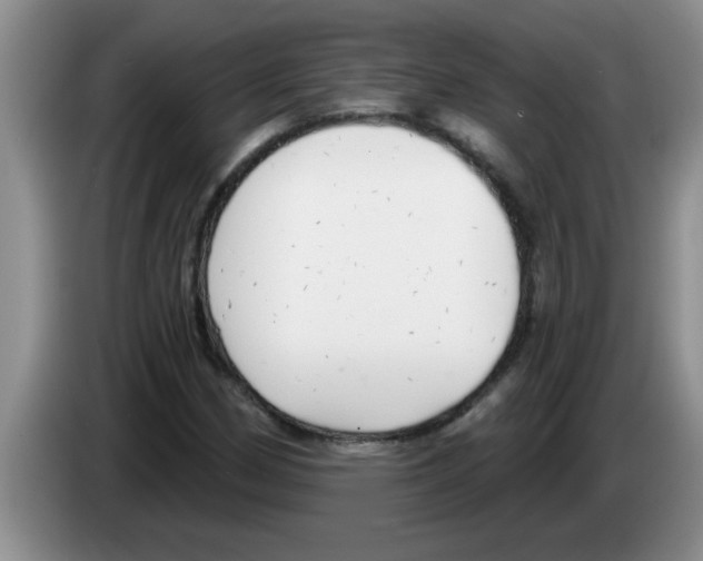 X0000083591162200703091713