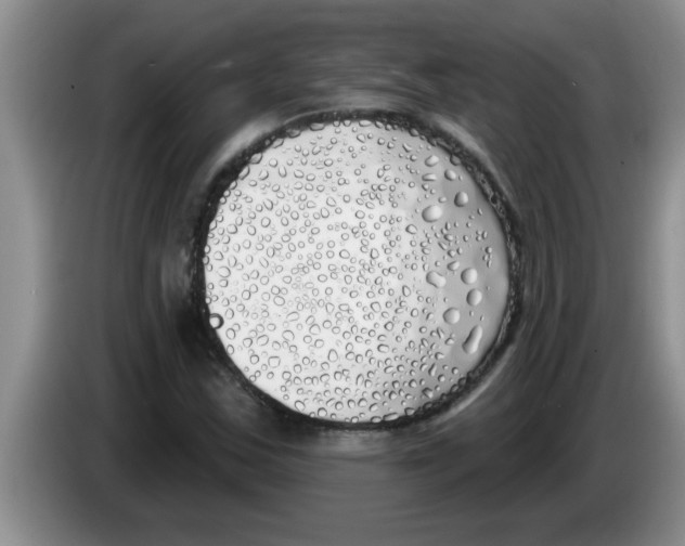 X0000083591163200703091713