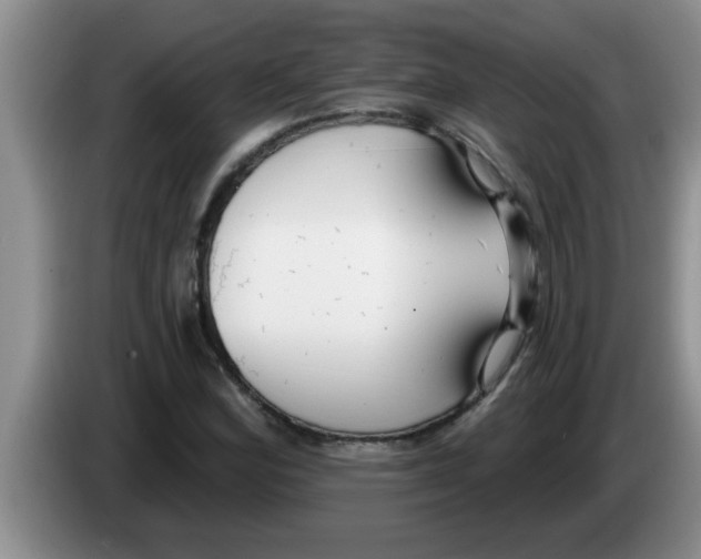 X0000083591164200703091713