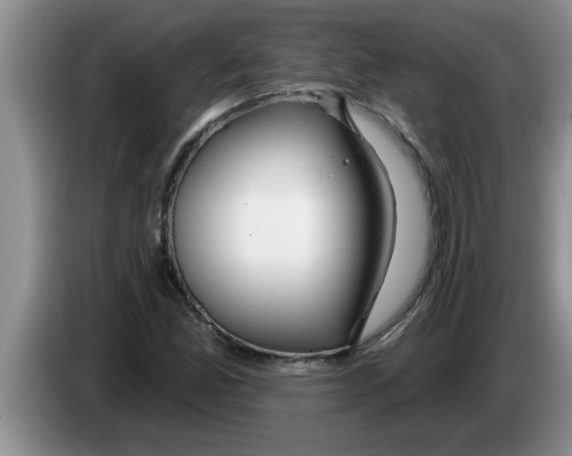X0000083591165200703091713