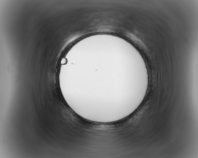 X0000083591166200703091713