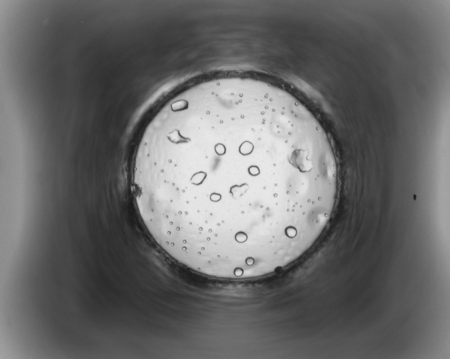X0000083591167200703091713