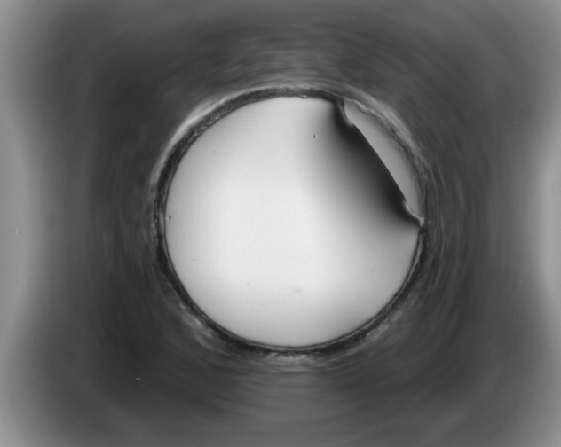 X0000083591168200703091713