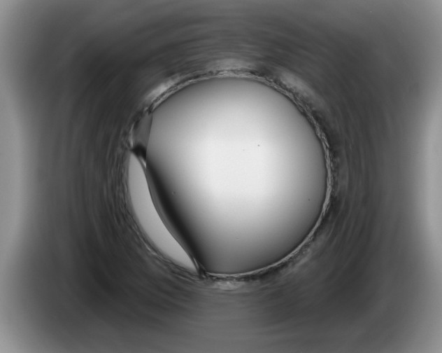 X0000083591169200703091713