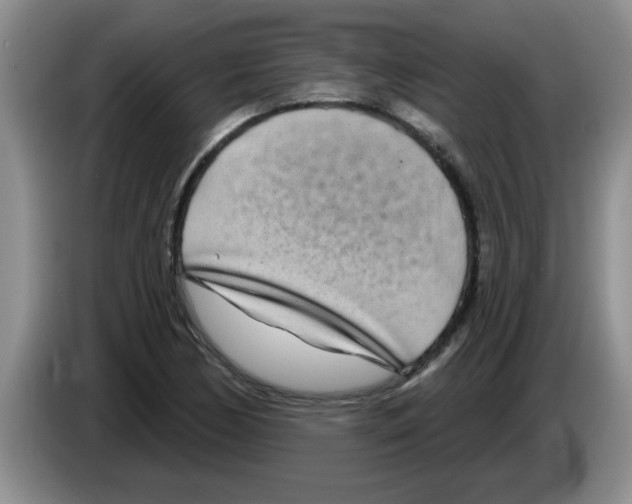 X0000083591170200703091713