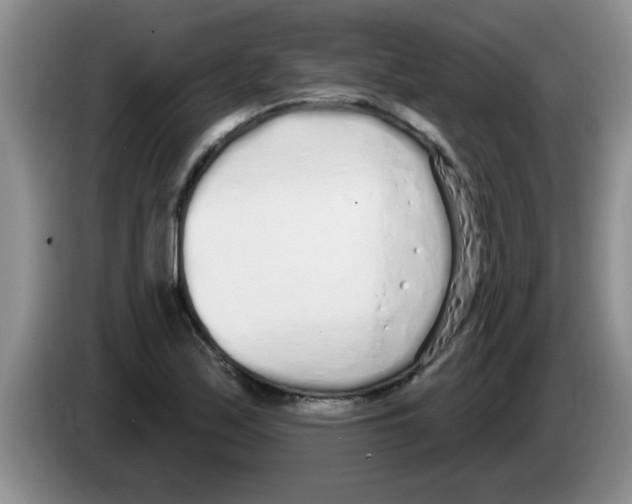 X0000083591171200703091713