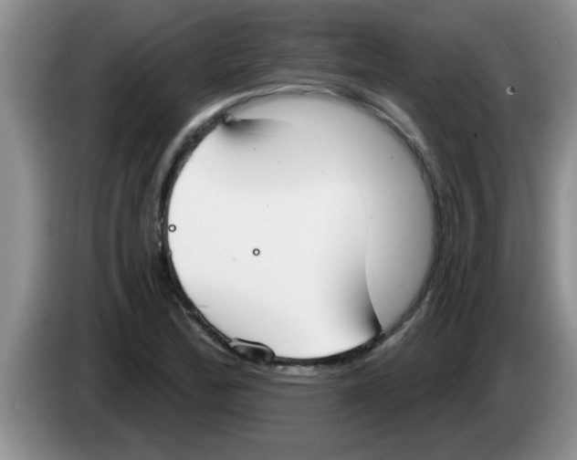 X0000083591172200703091713