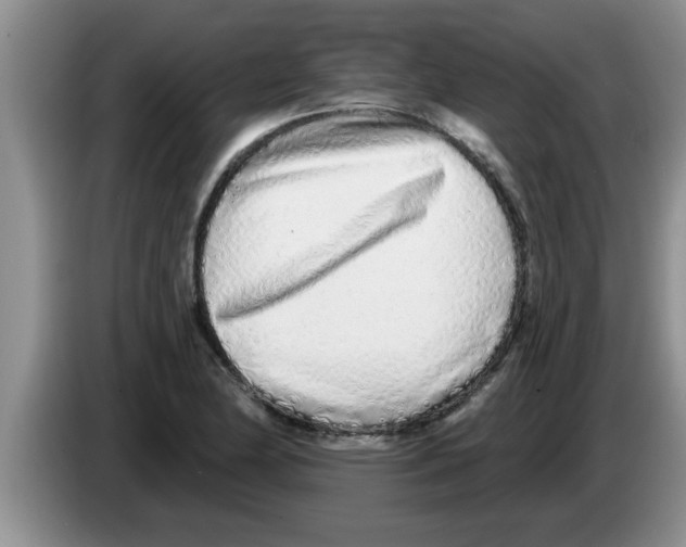 X0000083591174200703091713