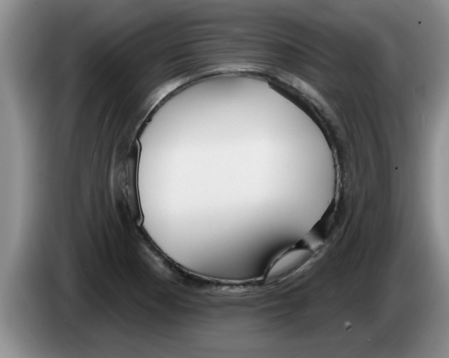 X0000083591177200703091713