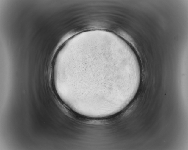 X0000083591179200703091713