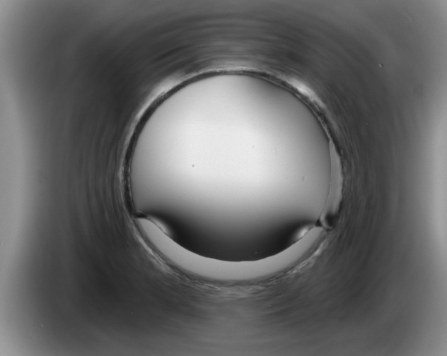 X0000083591181200703091713