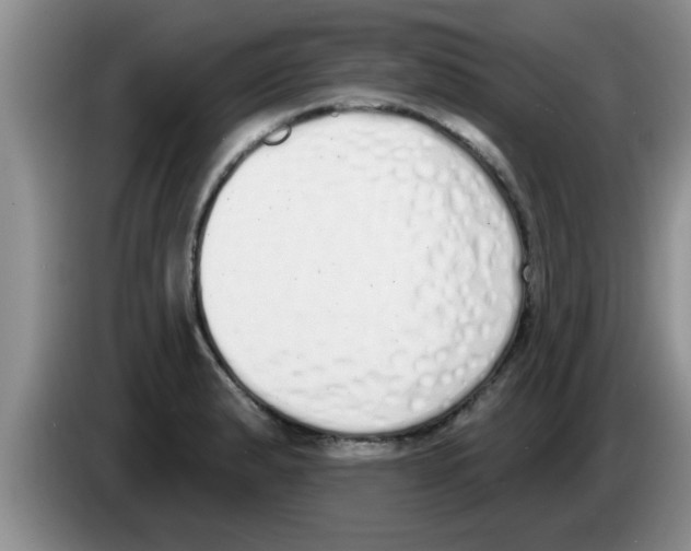 X0000083591183200703091713