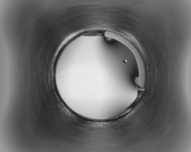 X0000083591184200703091713
