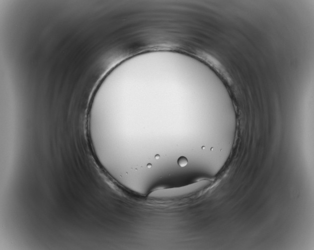 X0000083591186200703091713