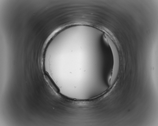 X0000083591188200703091713
