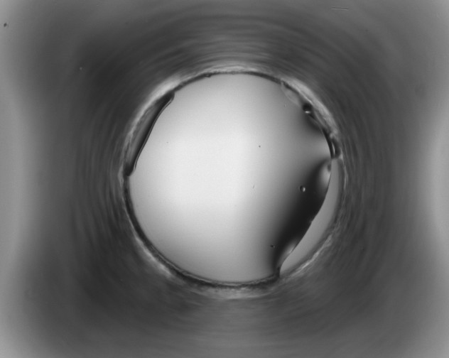 X0000083591189200703091713