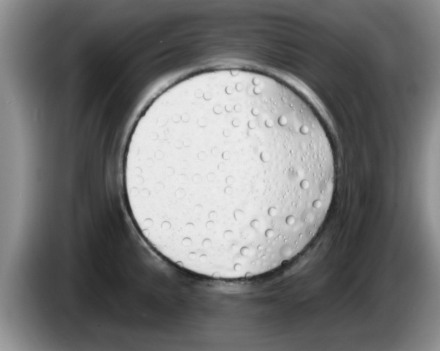 X0000083591191200703091713