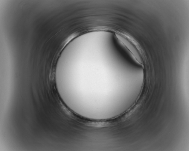 X0000083591193200703091713