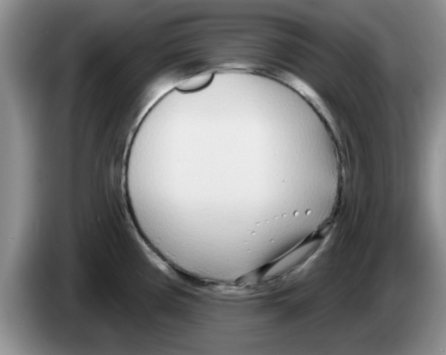 X0000083591194200703091713