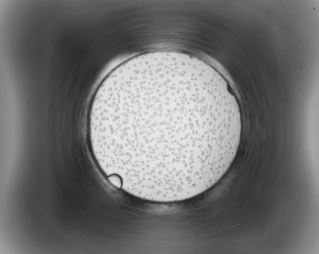 X0000083591195200703091713