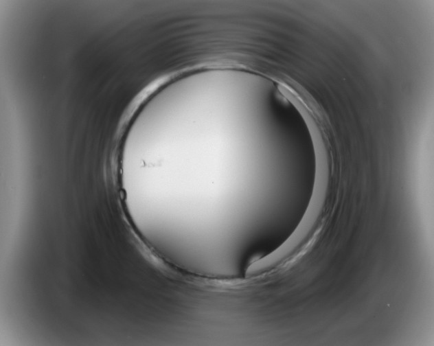 X0000083591196200703091713