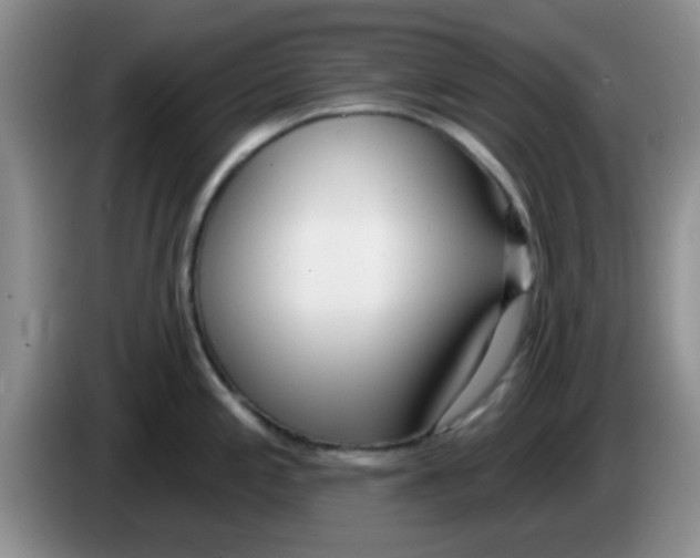 X0000083591197200703091713