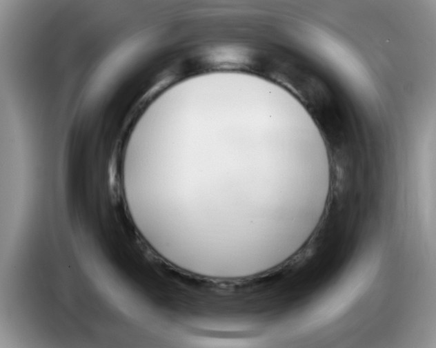 X0000083591198200703091713