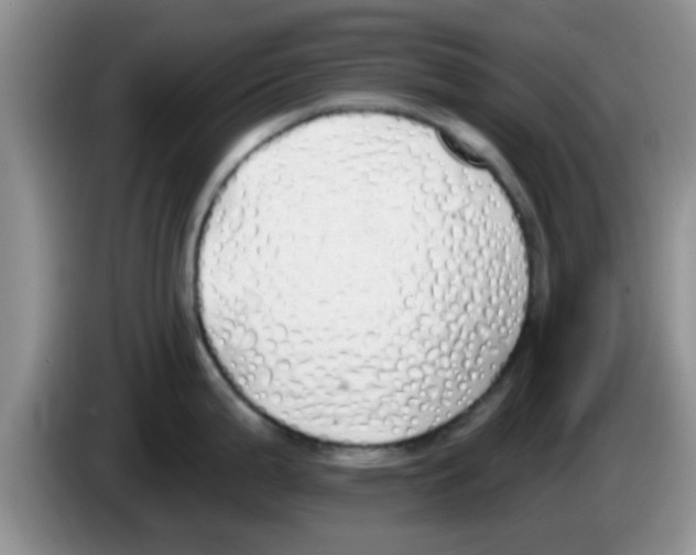 X0000083591199200703091713